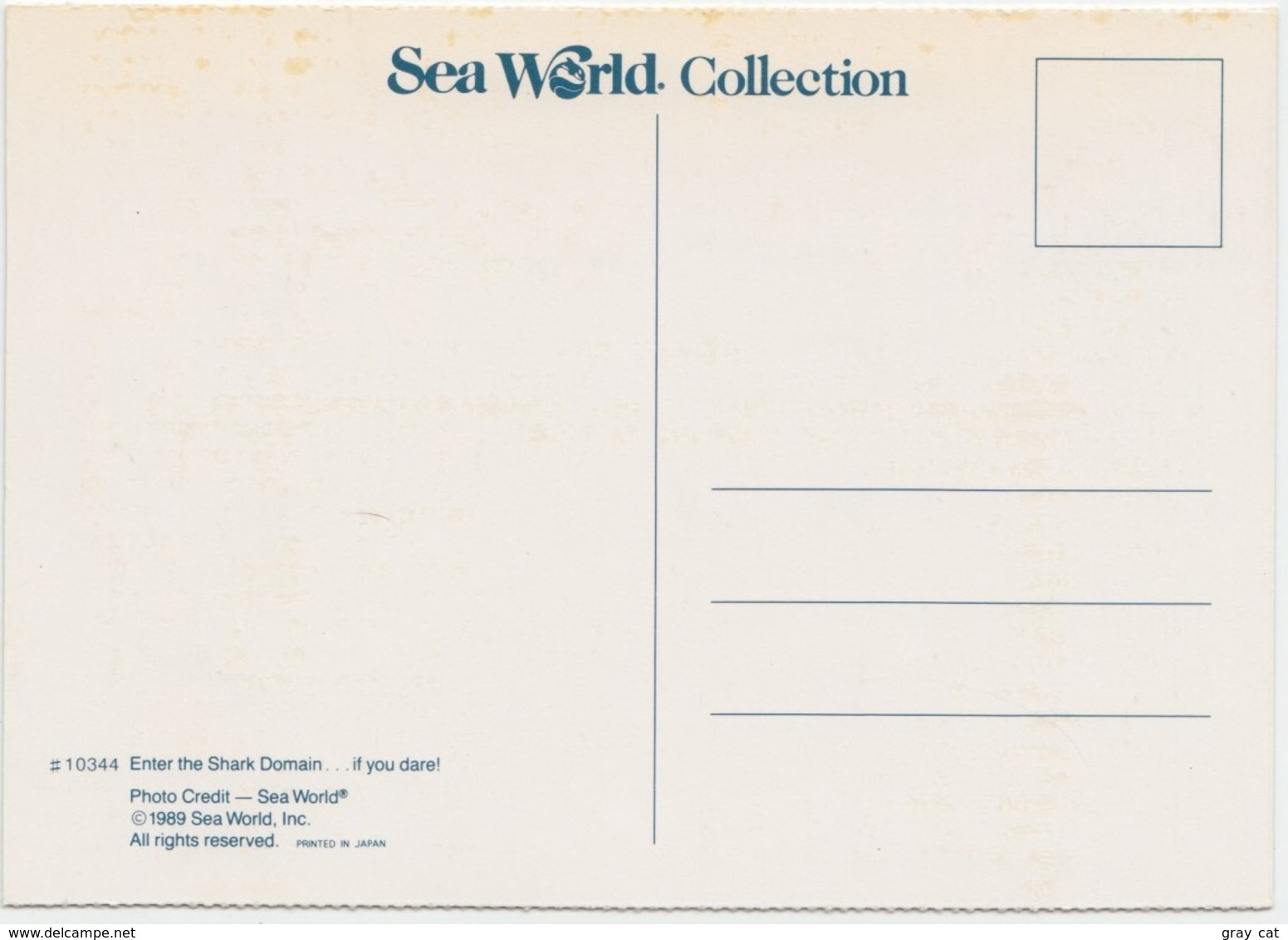 Sharks At Sea World, Unused Postcard [21459] - Other & Unclassified