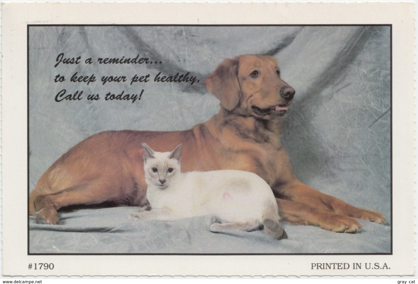 Dog And Cat, 1992 Used Postcard [21460] - Dogs