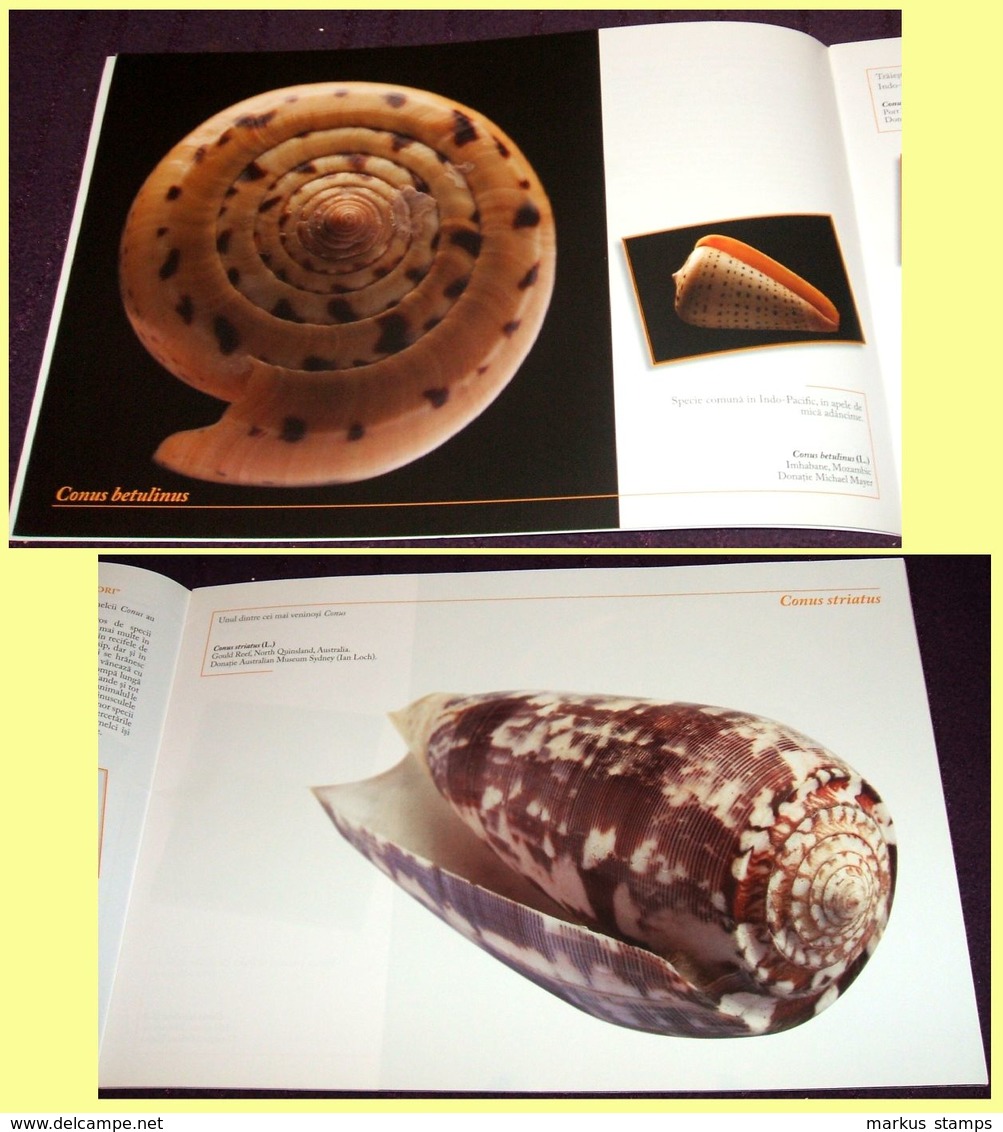 Molluscs From Romanian National Museum Of Natural History, Illustrated Brochure - Coquillages