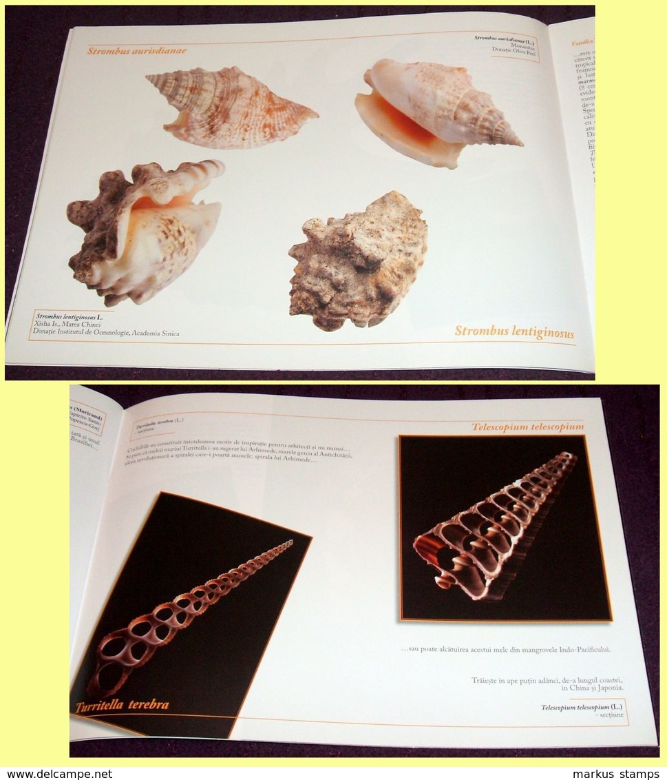 Molluscs From Romanian National Museum Of Natural History, Illustrated Brochure - Coquillages