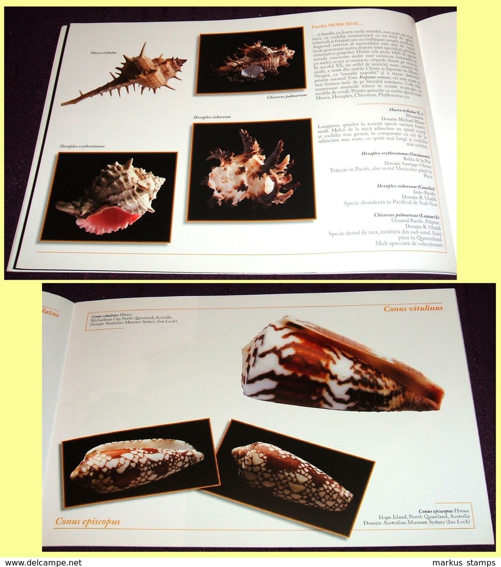 Molluscs From Romanian National Museum Of Natural History, Illustrated Brochure - Coquillages