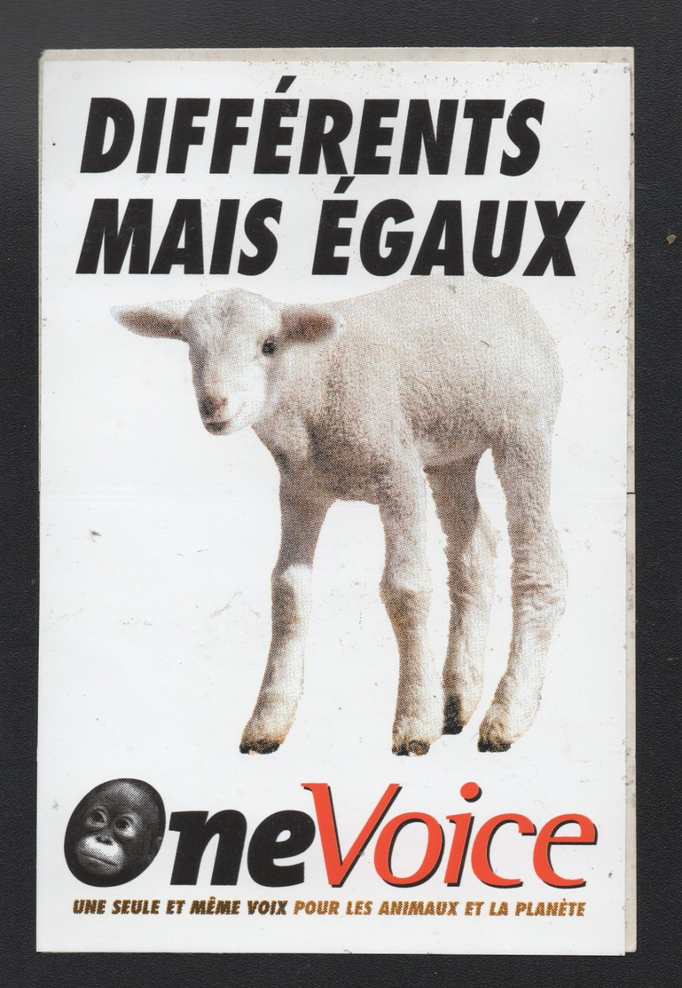 ONE VOICE DIFFERENTS MAIS EGAUX * PROTECTION DES ANIMAUX *- AUTOCOLLANT REF: 094 - Stickers