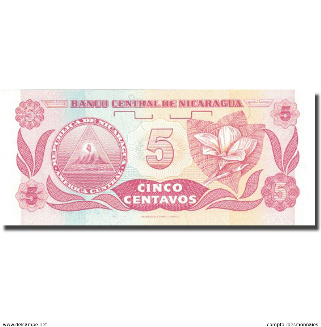 Billet, Nicaragua, 5 Centavos, Undated (1991), KM:168a, SPL+ - Nicaragua