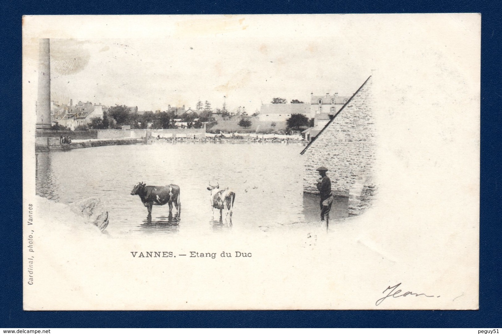 56. Vannes. Etang Du Duc. Paysan Et Ses Vaches. 1901 - Vannes