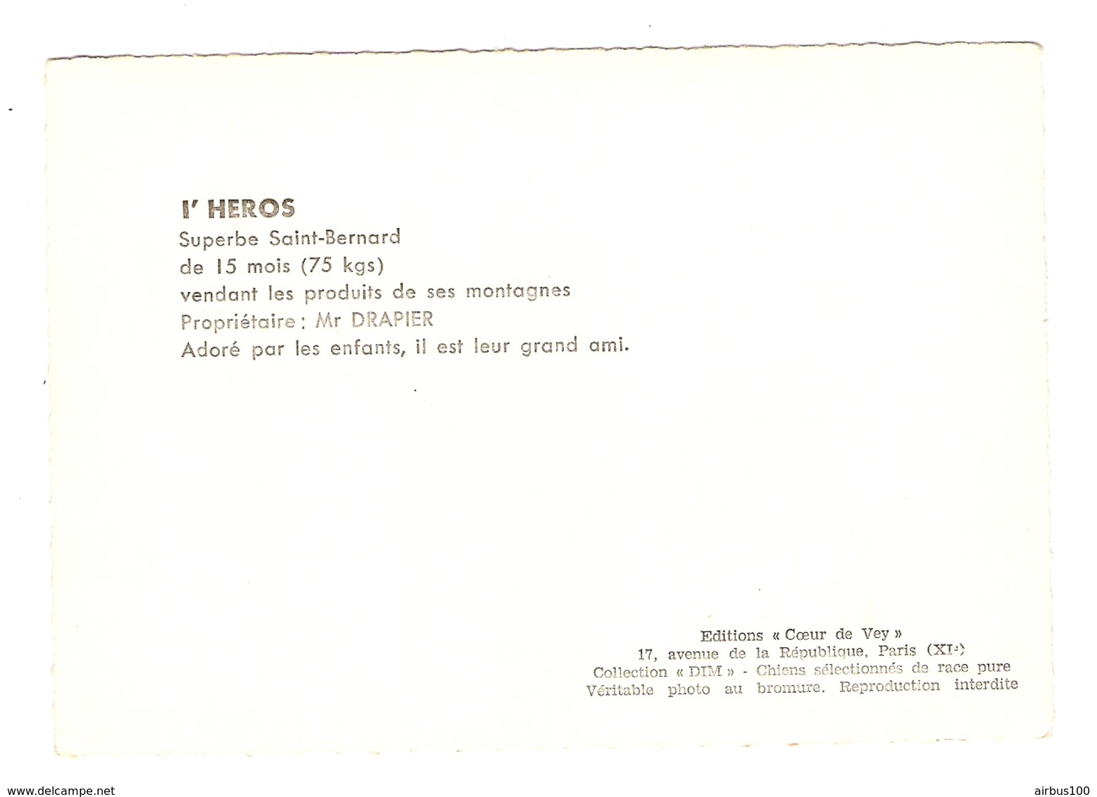 CHIEN SAINT BERNARD " HÉROS " 15 MOIS 75 KG - PROPRIÉTAIRE Mr DRAPIER - ATTELAGE - ÉDITIONS VEY PARIS - NON CIRCULÉE - Cani