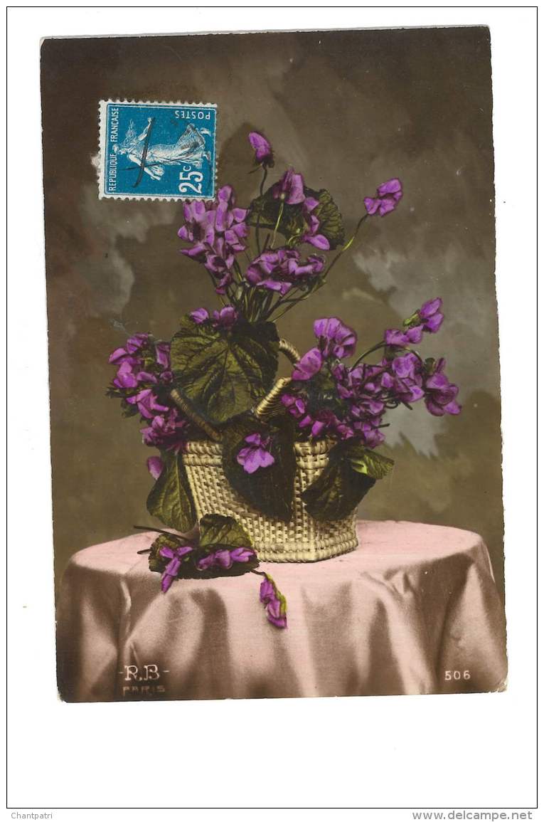 Composition De Violettes Dans Panier  - 4474 - Flowers