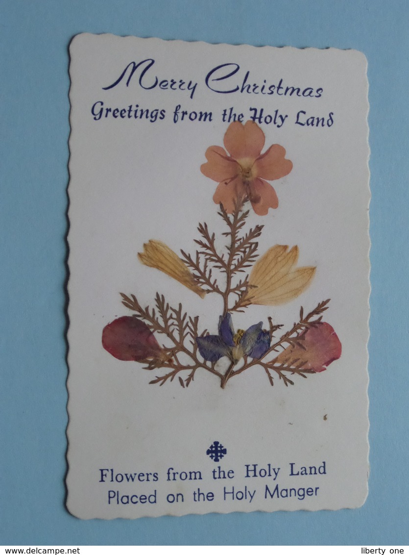 3 Cards ( Dry FLOWERS ) Merry Christmas Greetings From The HOLY LAND / Placed On The Holy Manger ( See Photo Detail ) ! - Other & Unclassified