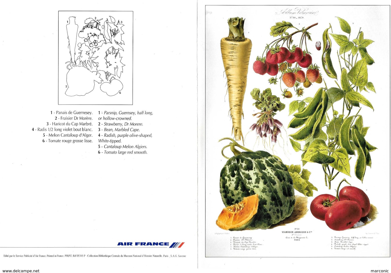 MENU AIR FRANCE - ST MARTIN SAINT DOMINGUE - Album VILMORIN N°30, 1879 - Menus