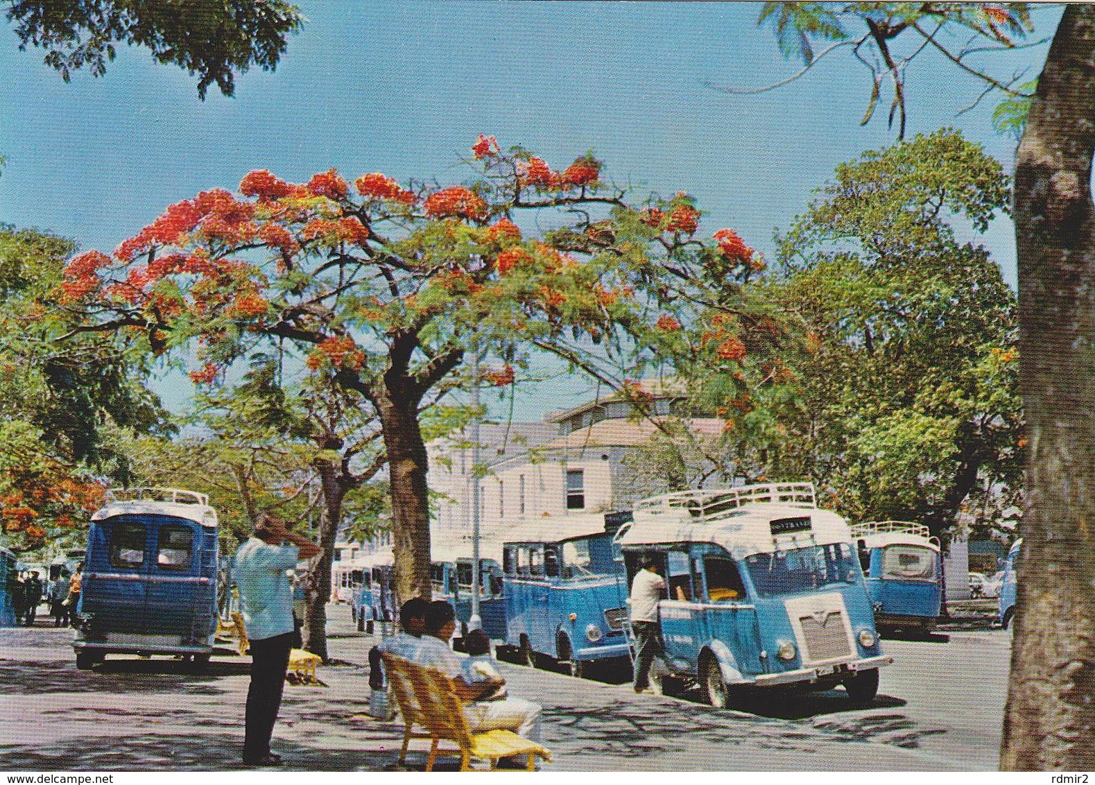 NOUMÉA, Nouvelle-Calédonie. Place Des Bus (transport Publique / Transporte Público). No Circulada / Non Voyagée - Nouvelle-Calédonie
