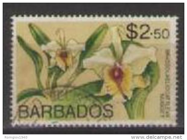 COLONIE INGLESI  BARBADOS 1974 SERIE ORDINARIA FIORI YVERT. 386 USATO VF - Barbados (1966-...)