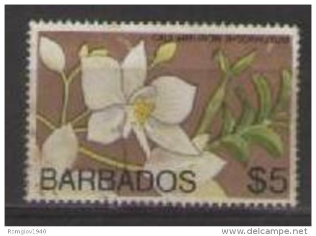 COLONIE INGLESI  BARBADOS 1974 SERIE ORDINARIA FIORI YVERT. 387 USATO VF - Barbados (1966-...)