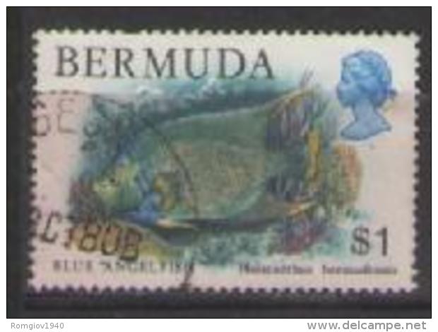 COLONIE INGLESI BERMUDE   1978-1979 SERIE ORDINARIA FAUNA YVERT. 366 USATO VF - Bermuda