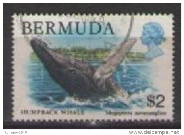 COLONIE INGLESI BERMUDE 1978-1979 SERIE ORDINARIA FAUNA YVERT. 367 USATO VF - Bermudes