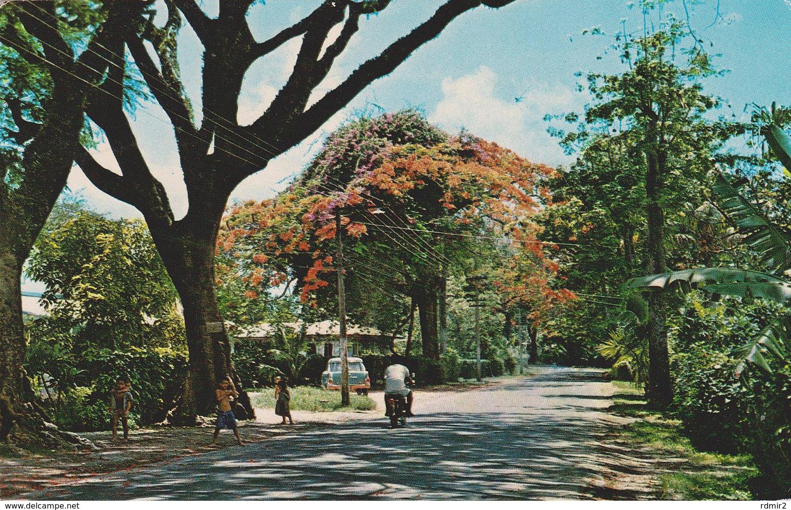 [VD.19] RAROTONGA, Cook Islands, Mainroad At Tupapa. Postal Escrita Al Dorso / Carte écrite Au Dos [1972]. - Isole Cook