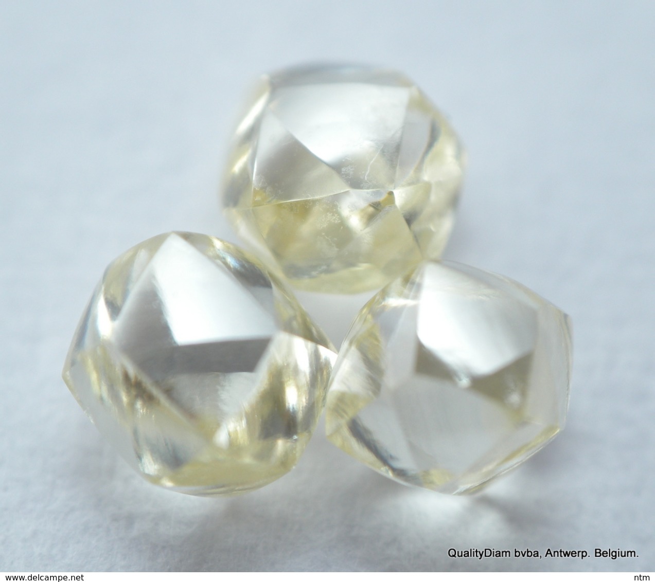 NATURAL DIAMONDS OUT FROM DIAMOND MINES HIGH CLARITY BEAUTIFUL GEMSTONES - Diamant