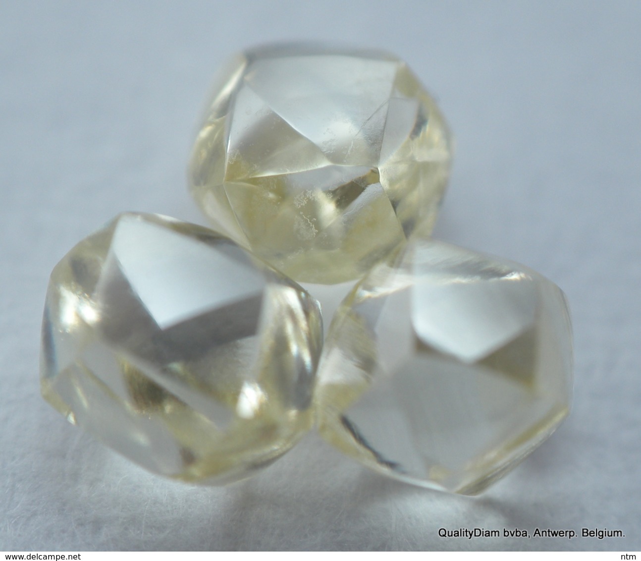 NATURAL DIAMONDS OUT FROM DIAMOND MINES HIGH CLARITY BEAUTIFUL GEMSTONES - Diamante