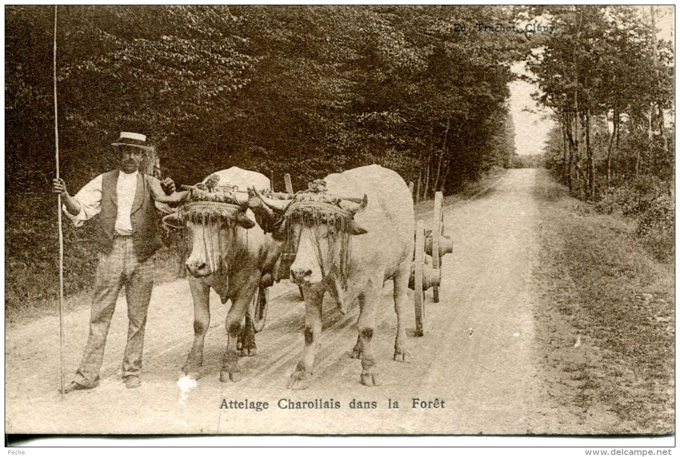 N°63728 -cpa Attelage Charollais Dans La Forêt - Attelages