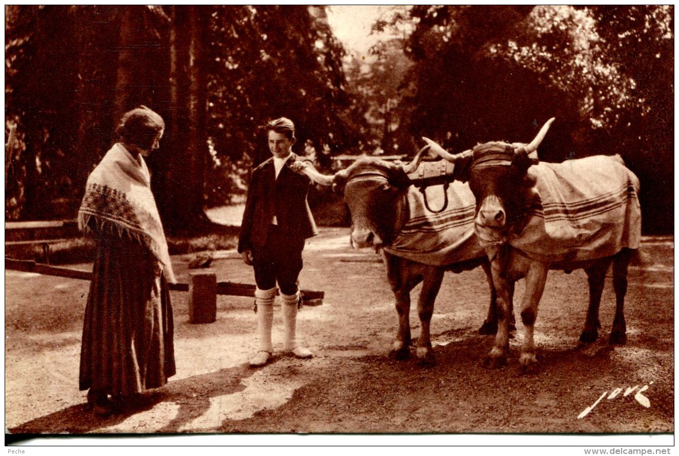 N°63729 -cpa Le Terroir Pyrénéen- La Vie Aux Champs- Attelage Boeufs- - Attelages