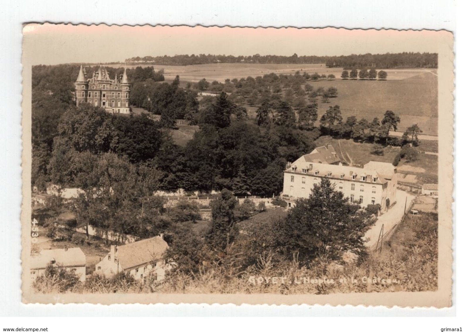 GOYET - Entrée Des Grottes (photo Carte MOSA Nr 4525) - Gesves