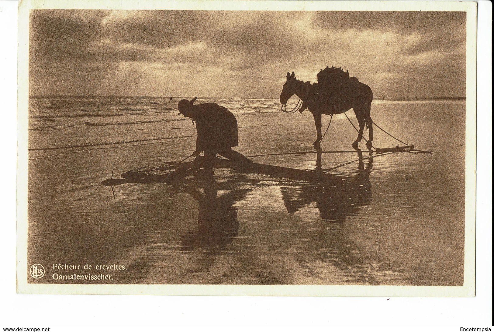 CPA - Carte Postale - BELGIQUE - Nieuwpoort - Pêcheur De Crevettes-  S1385 - Nieuwpoort