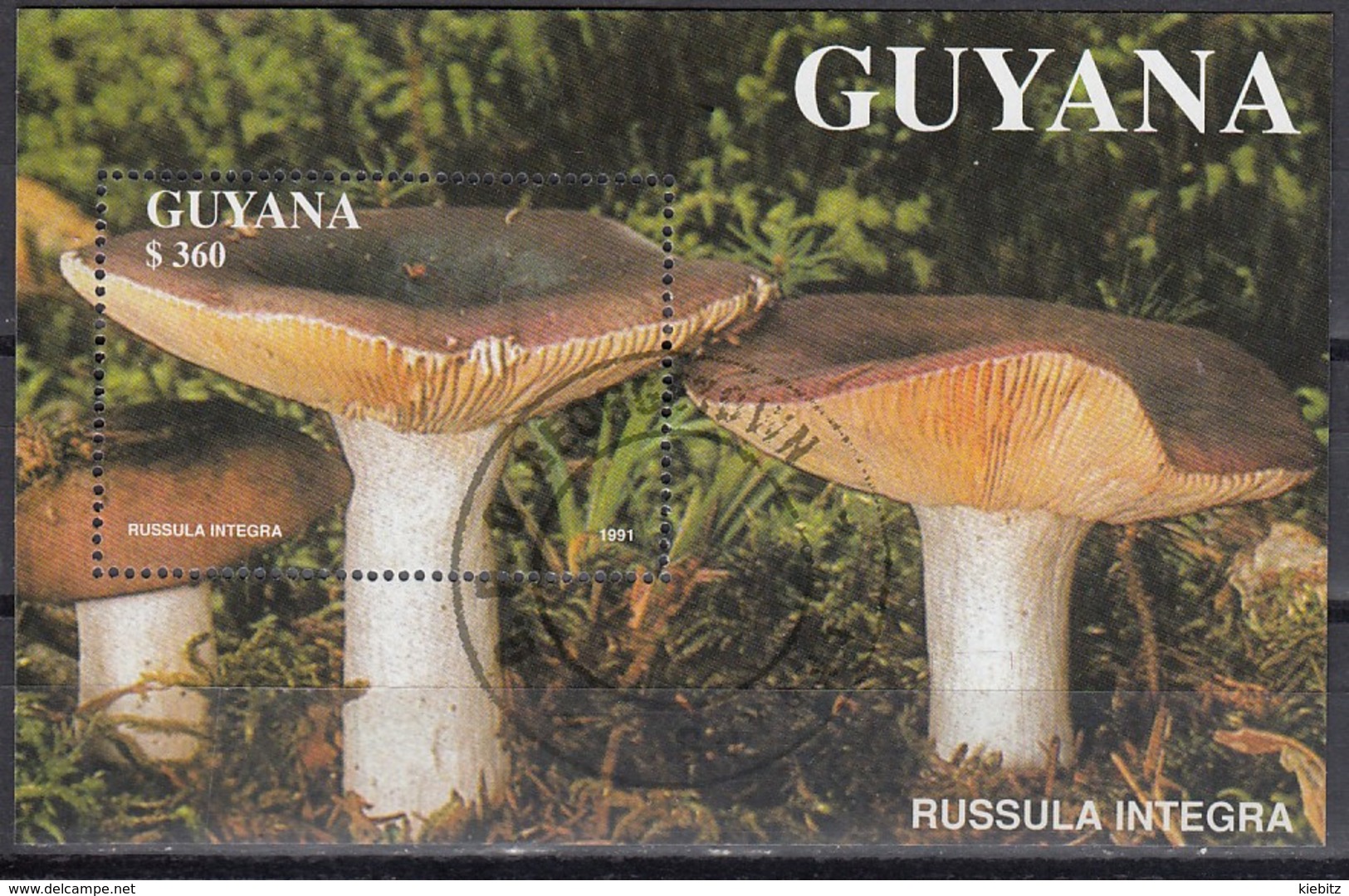 GUYANA 1990  - Russula Integra  MiNr: Block 142 Used - Pilze