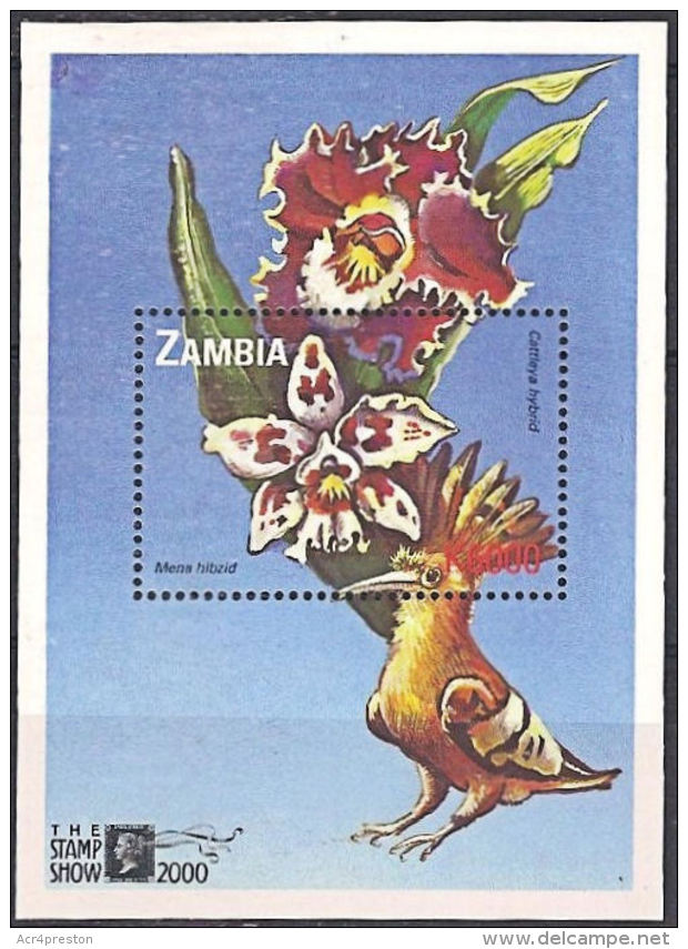 Zm9984b ZAMBIA 2000, 1 @ K6000  Stamp Show, Orchids  MNH  (Butterfly) - Zambia (1965-...)