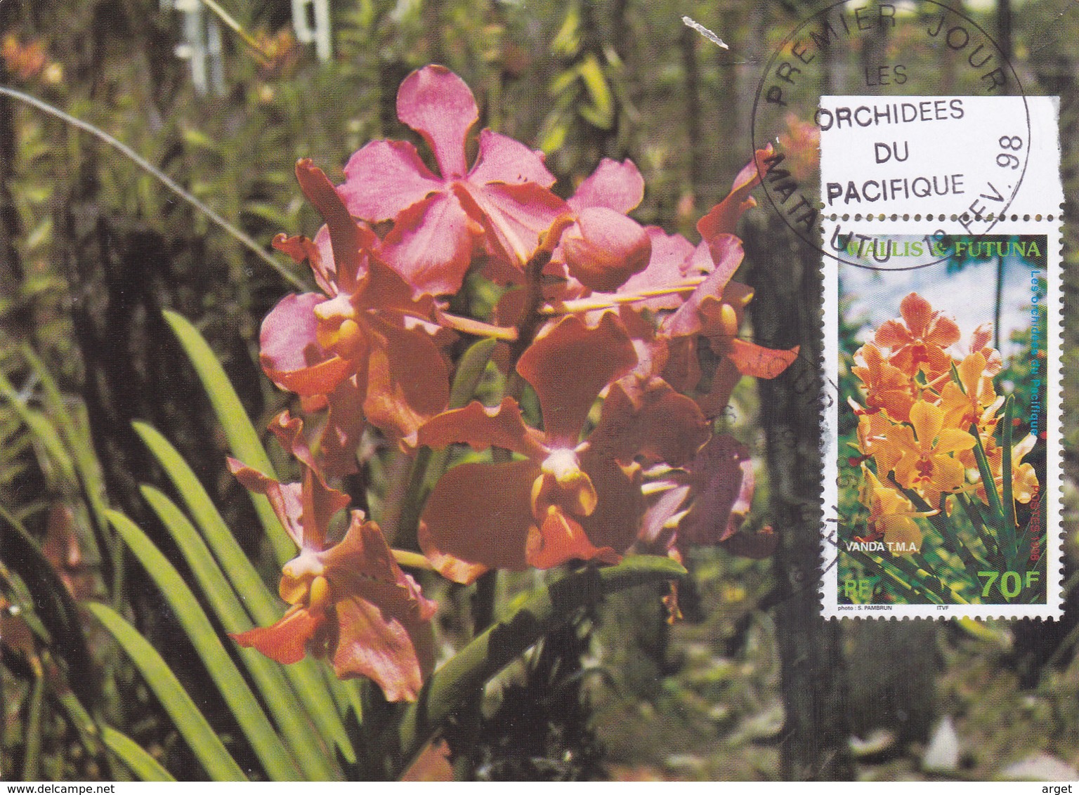 Carte Maximum WALLIS Et FUTUNA N° Yvert 513 (ORCHIDEES) Obl Sp 1er Jour - Cartoline Maximum