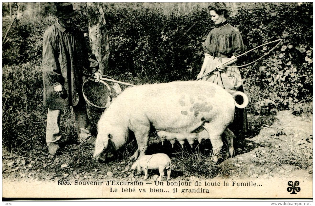 N°63764 -cpa Une Bonjour De Toute La Famille- Le Bébé Va Bien- - Cochons