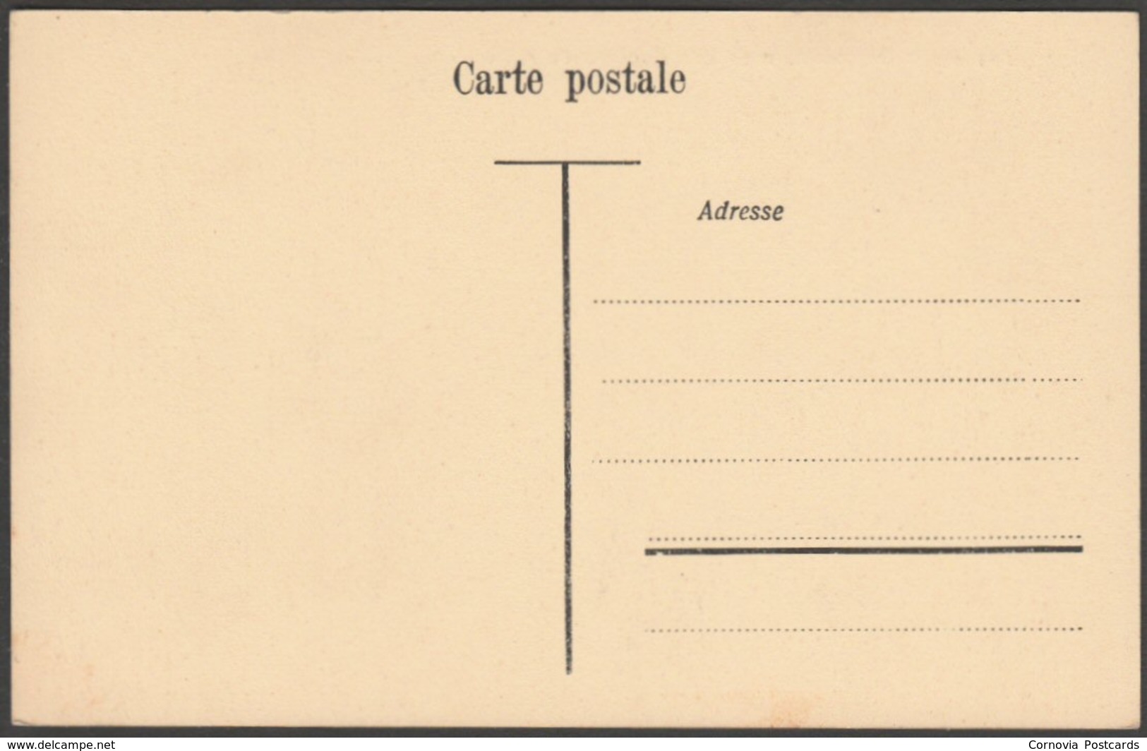 Vues Des Rochers De Naye, Les Alpes Bernoises, Vaud, C.1910 - Louis Burgy CPA - Roche