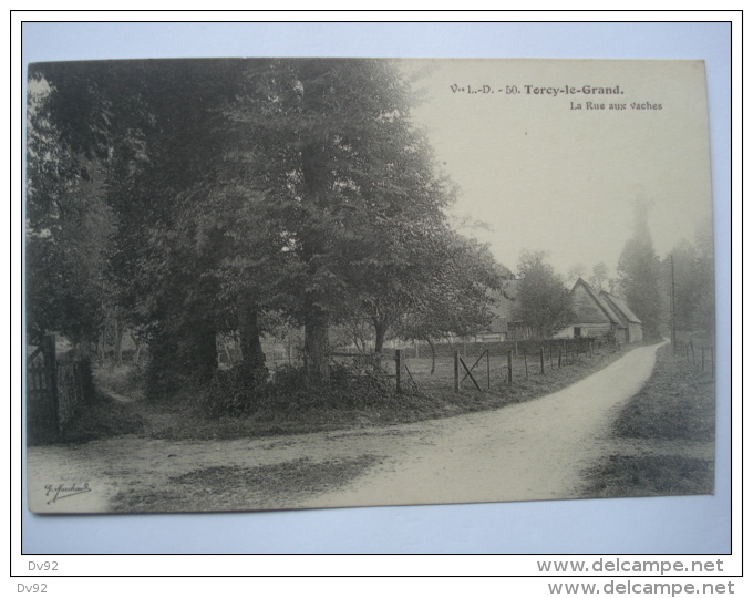 SEINE MARITIME TORCY LE GRAND RUE AUX VACHES - Autres & Non Classés