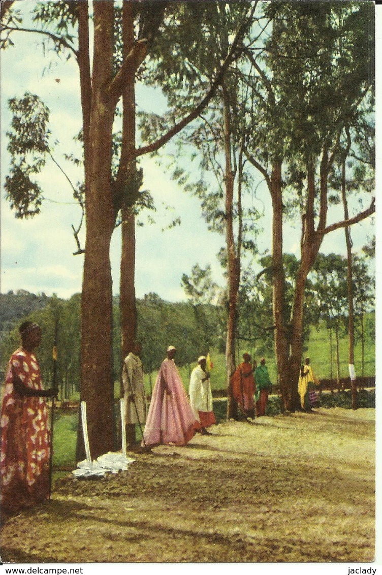 Ruanda-Urundi - Voyage Du Roi Au Congo été 1955.  (2 Scans) - Ruanda-Urundi