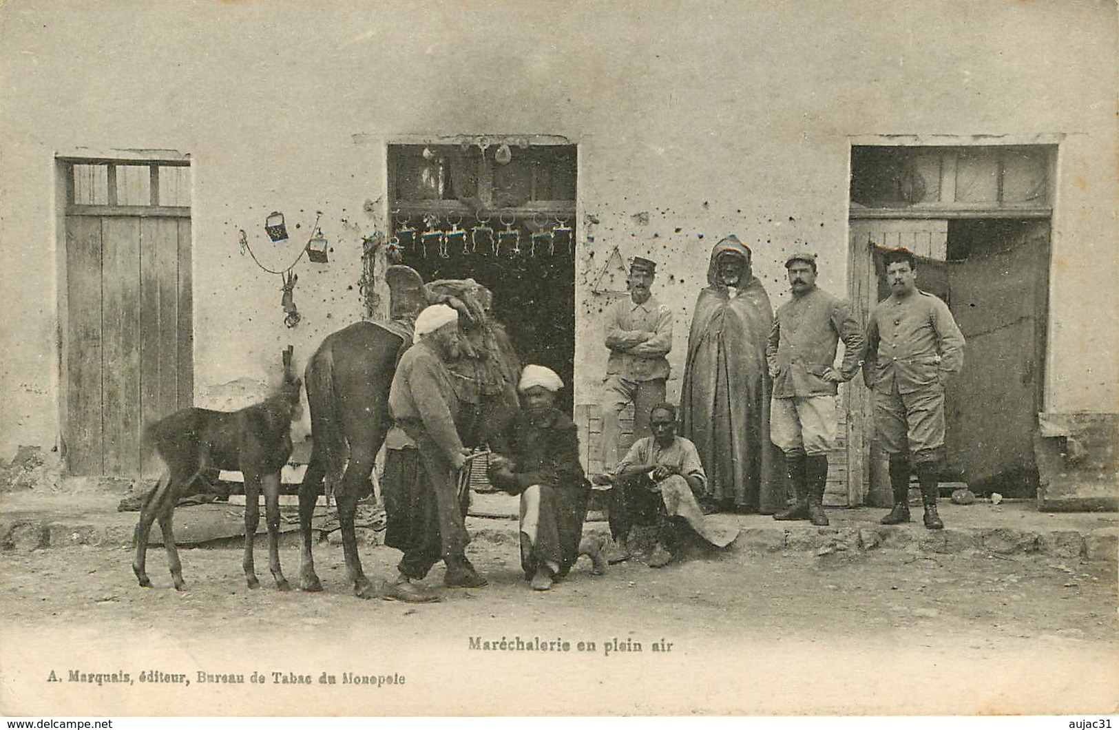 Maroc - Morocco - Métiers - Maréchal Ferrant -Animaux - Chevaux - Poulains - Militaria - Militaires - Maréchalerie -état - Autres & Non Classés
