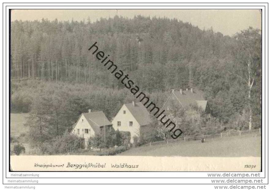 Berggiesshübel - Waldhaus - Foto-AK - Bad Gottleuba-Berggiesshuebel