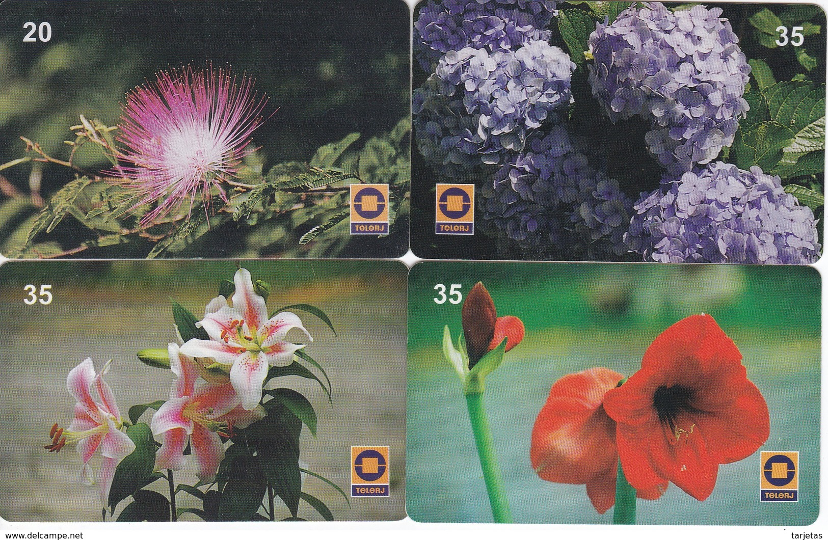 LOTE DE 4 TARJETAS DE BRASIL DE FLORES  (FLOR-FLOWER) TELERJ - Flores