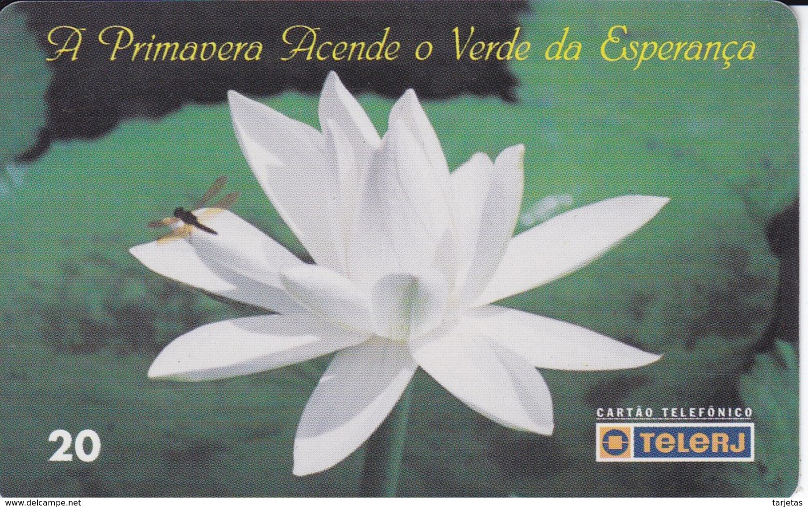 TARJETA DE BRASIL DE UNA FLOR Y UNA LIBELULA  (FLOR-FLOWER) TELERJ - Flores