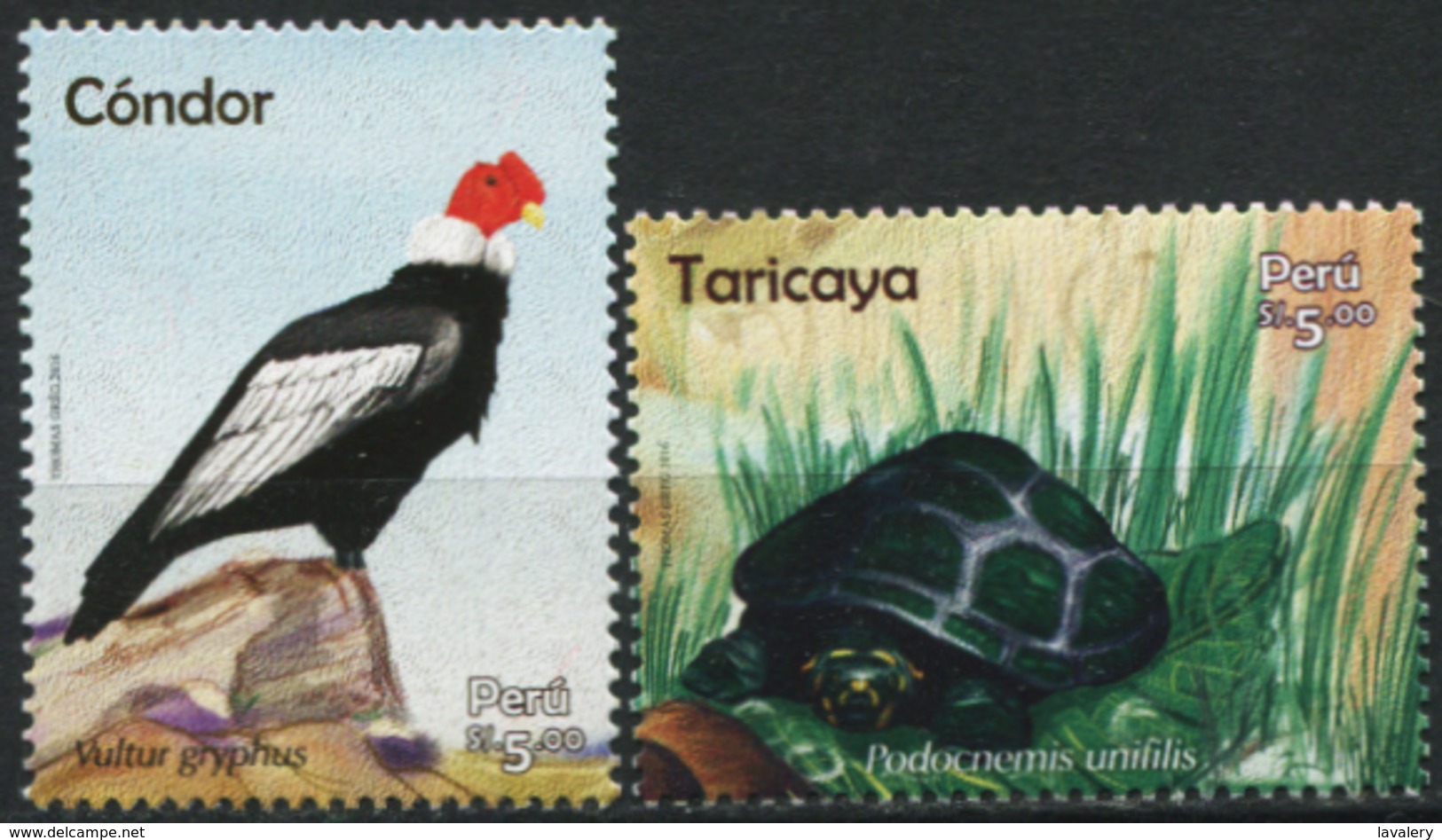 PERU 2016 Andean Condor Bird Eagle Birds Of Prey Turtle Turtles Reptiles Animals Fauna MNH - Tartarughe