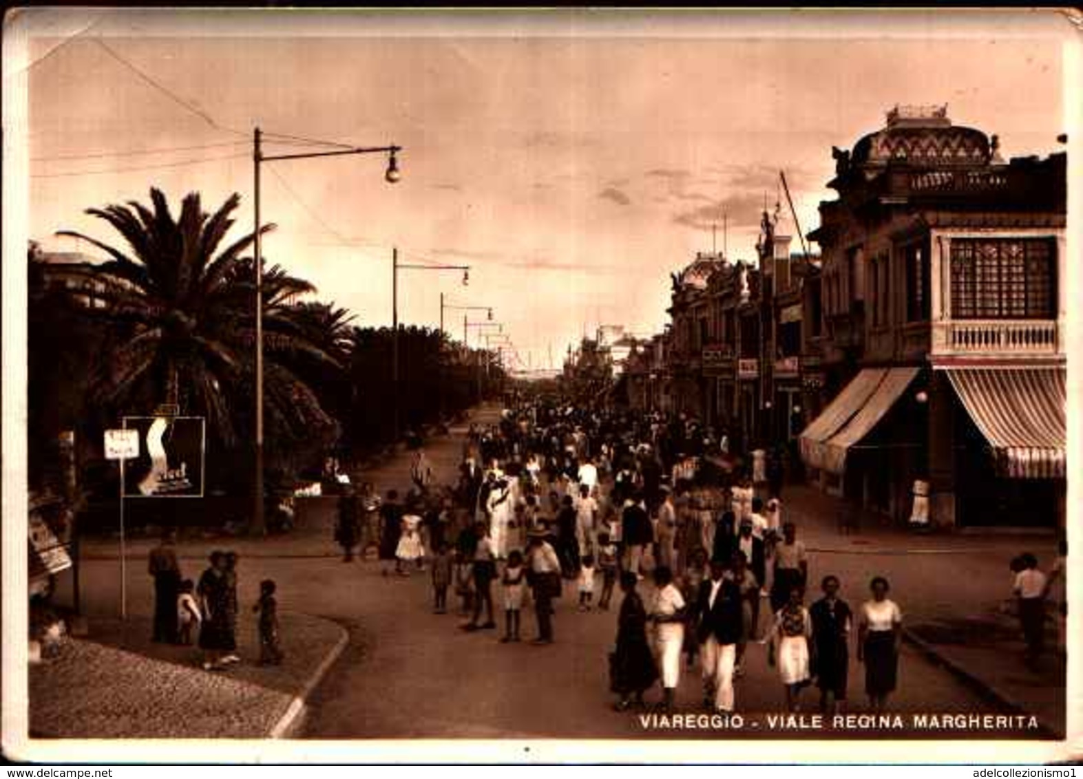 71346)  CARTOLINA DI VIAREGGIO-VIALE REGINA MARGHERITA-VIAGGIATA-ANIMATA - Viareggio