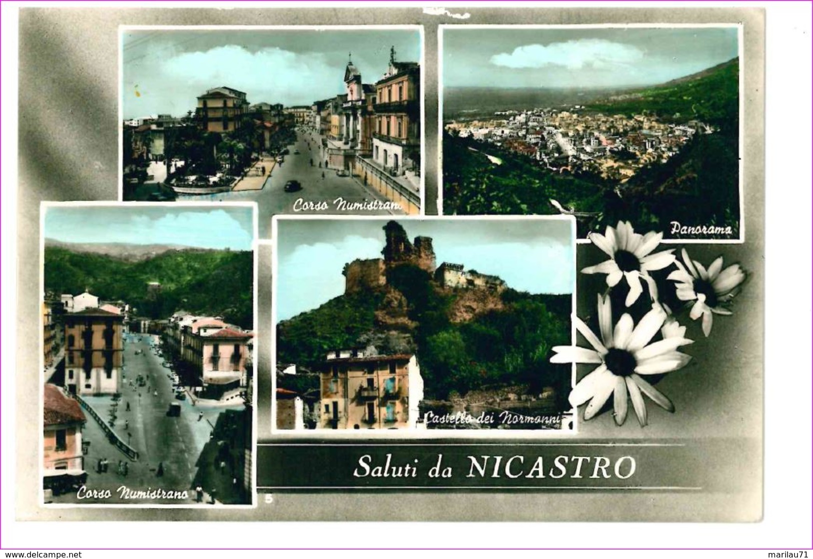 M7036 CALABRIA Nicastro Lamezia Terme Catanzaro VIAGGIATA 1959 - Lamezia Terme