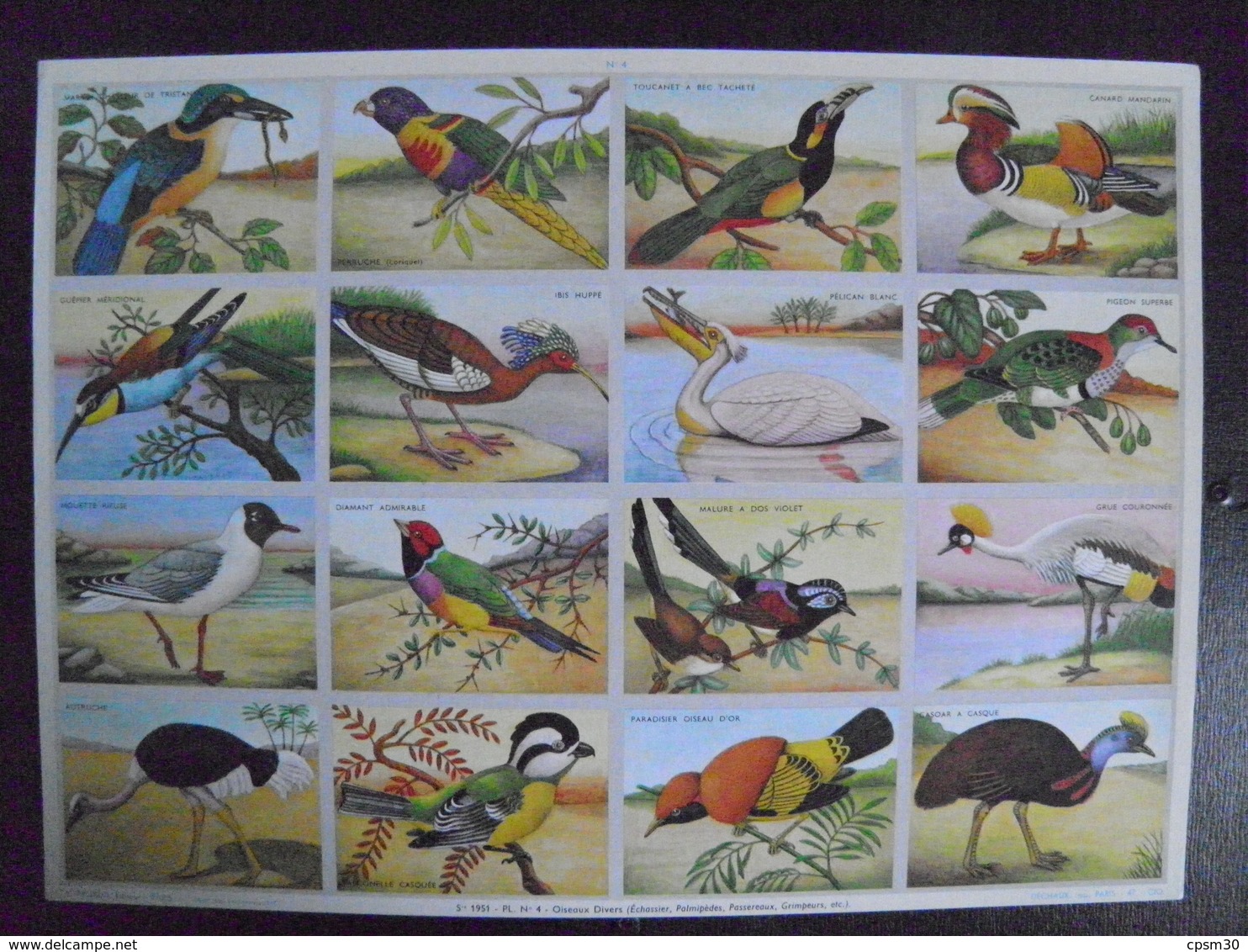 Image D'école - N° 004 - Oiseaux Divers, échassiers Palmipèdes Passereaux Grimpeurs - Format 24 X 33 Cm - Animaux