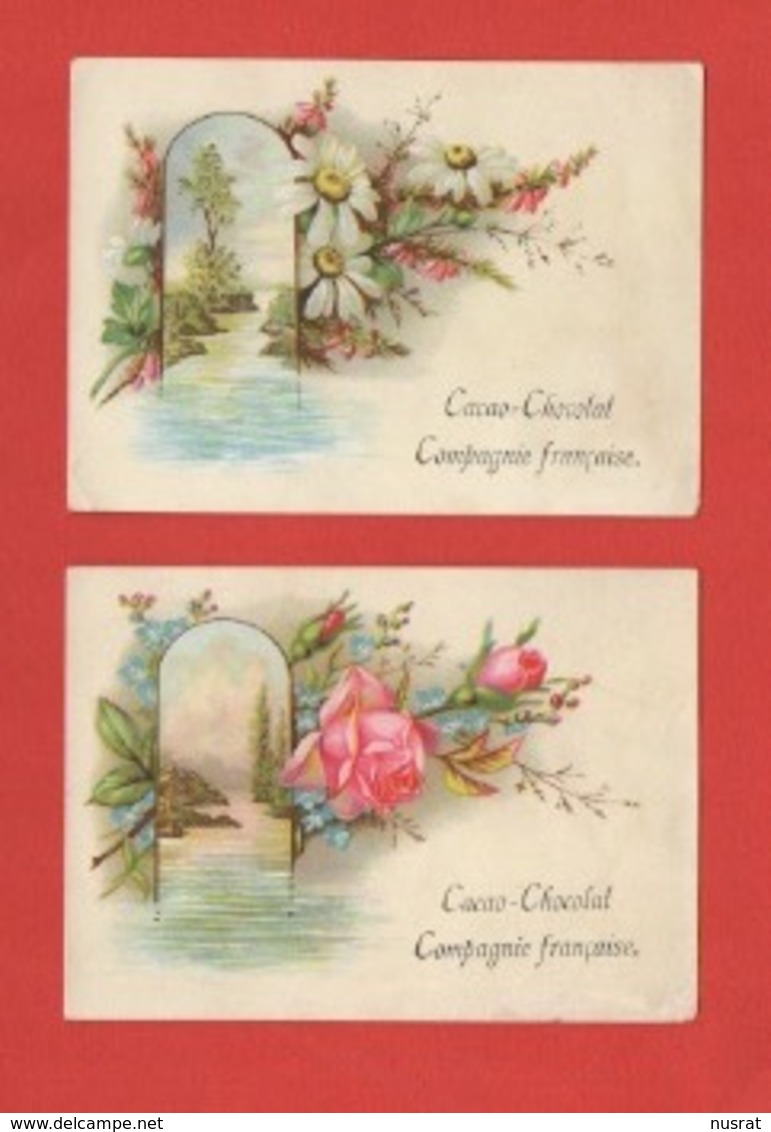 Cacao Cie Française, Lot De 2 Chromos, Paysage & Fleurs - Autres & Non Classés