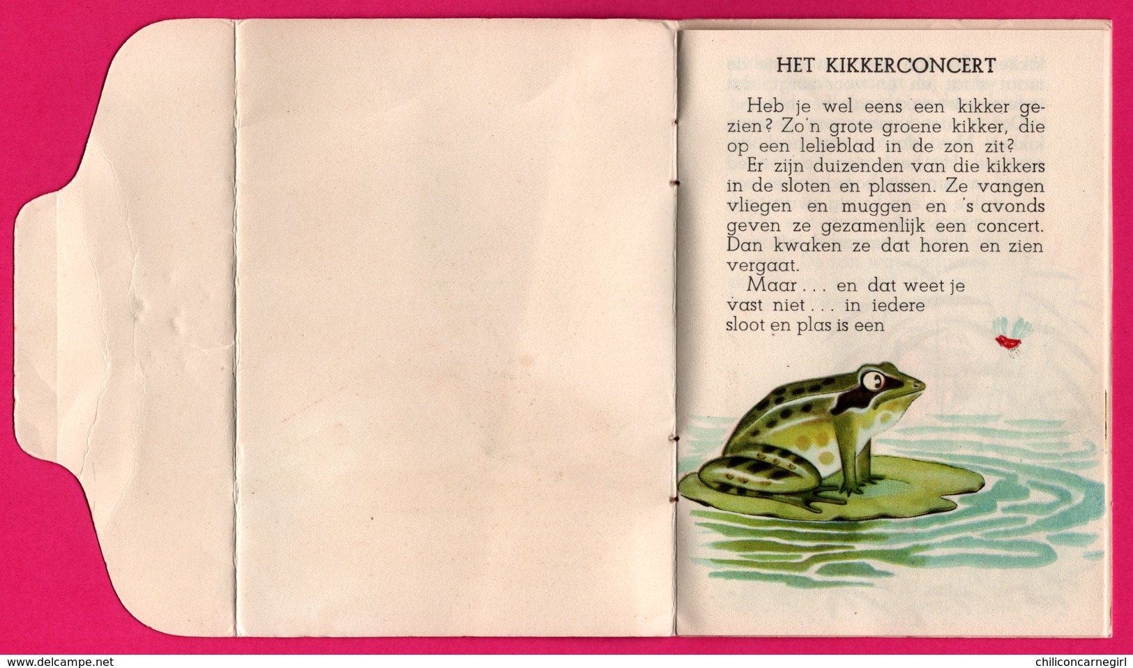 Livret Avec Histoire - Het Kikkerconcert - Grenouille Humanisée - Frog - Voor Het Kind - Histoire En Néerlandais - 1954 - Autres & Non Classés