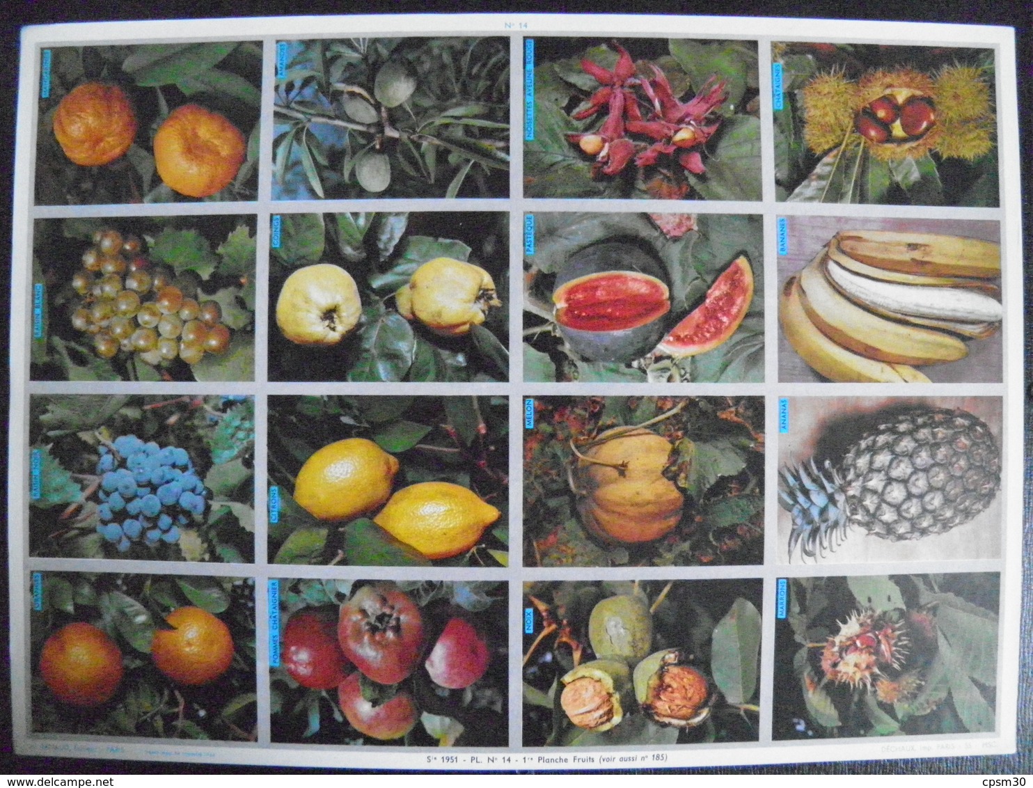 Image D'école - N° 014 - Planche De Fruits - Format 24 X 33 Cm - 1964 - Planche Entière Non Découpée De 12 Images - Küche & Rezepte