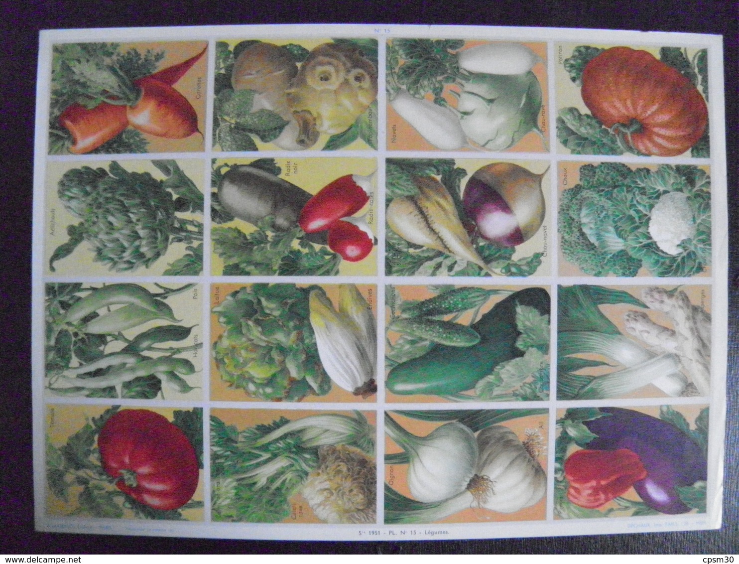Image D'école - N° 014 - Planche De Légumes - Format 24 X 33 Cm - 1951 - Planche Entière Non Découpée De 12 Images - Cooking Recipes
