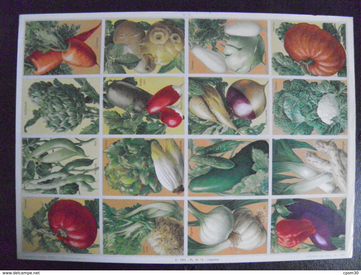 Image D'école - N° 014 - Planche De Légumes - Format 24 X 33 Cm - 1951 - Planche Entière Non Découpée De 12 Images - Recetas De Cocina