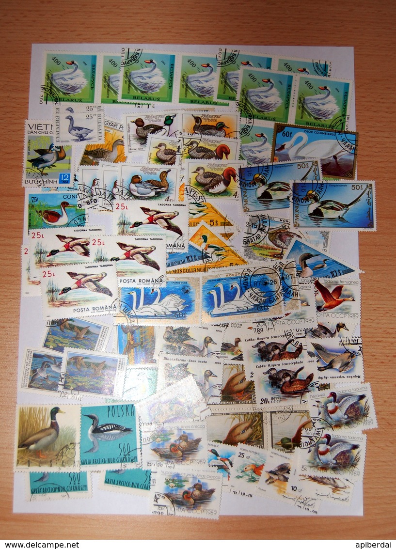 Duck And Swan - Lot 84 Stamps On Thema Duck And  Swan From 11 Countries (used) - Anatre