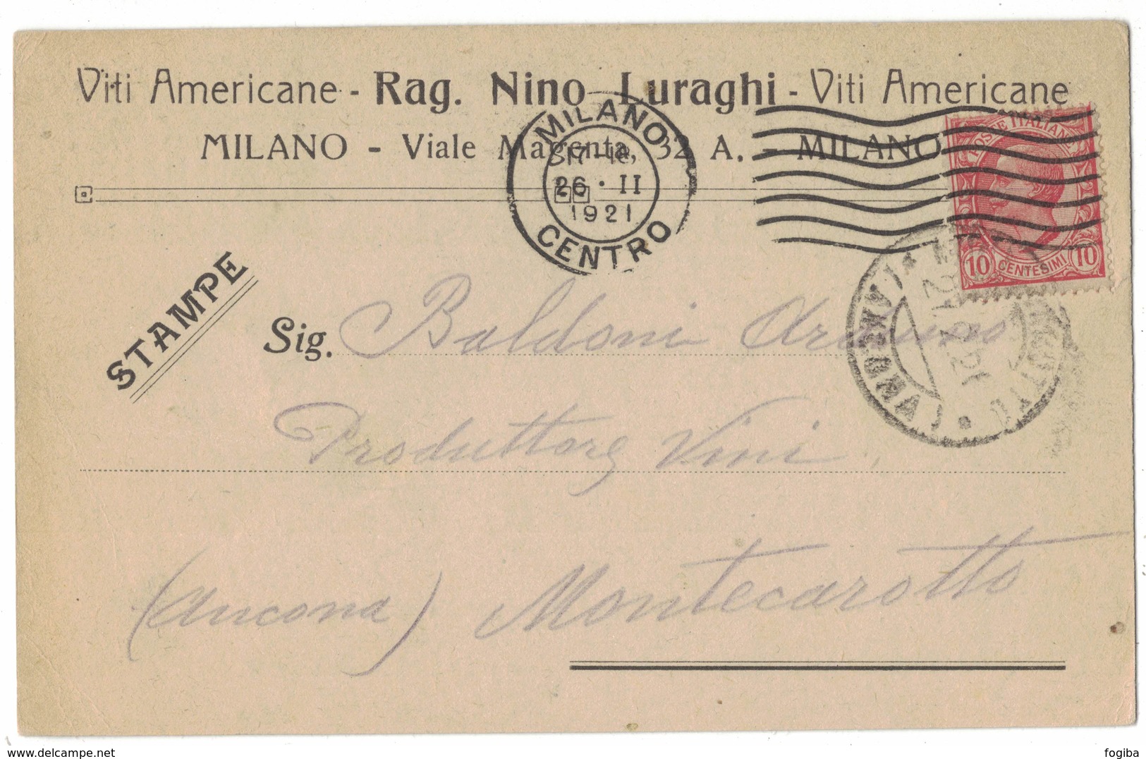 A138   Viti Americane, Vitigni N.Luraghi Cartolina X Produttore Vini Montecarotto - 1921 Wine,Vino - Vini E Alcolici