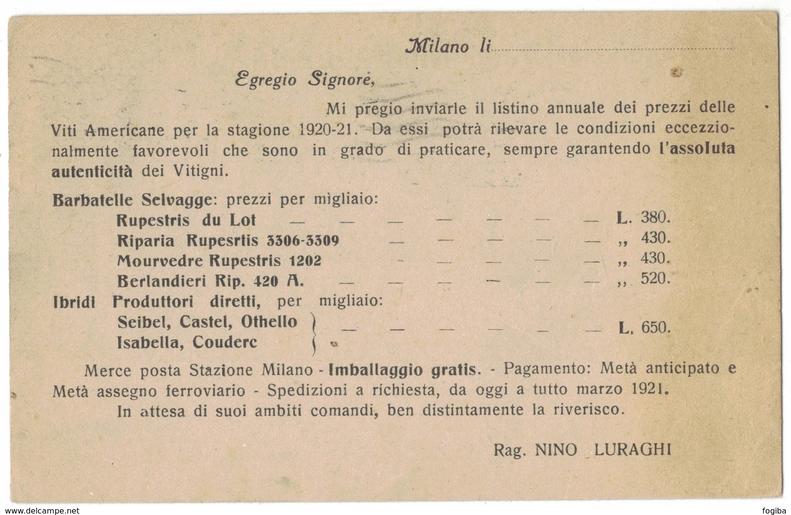 A138   Viti Americane, Vitigni N.Luraghi Cartolina X Produttore Vini Montecarotto - 1921 Wine,Vino - Vini E Alcolici