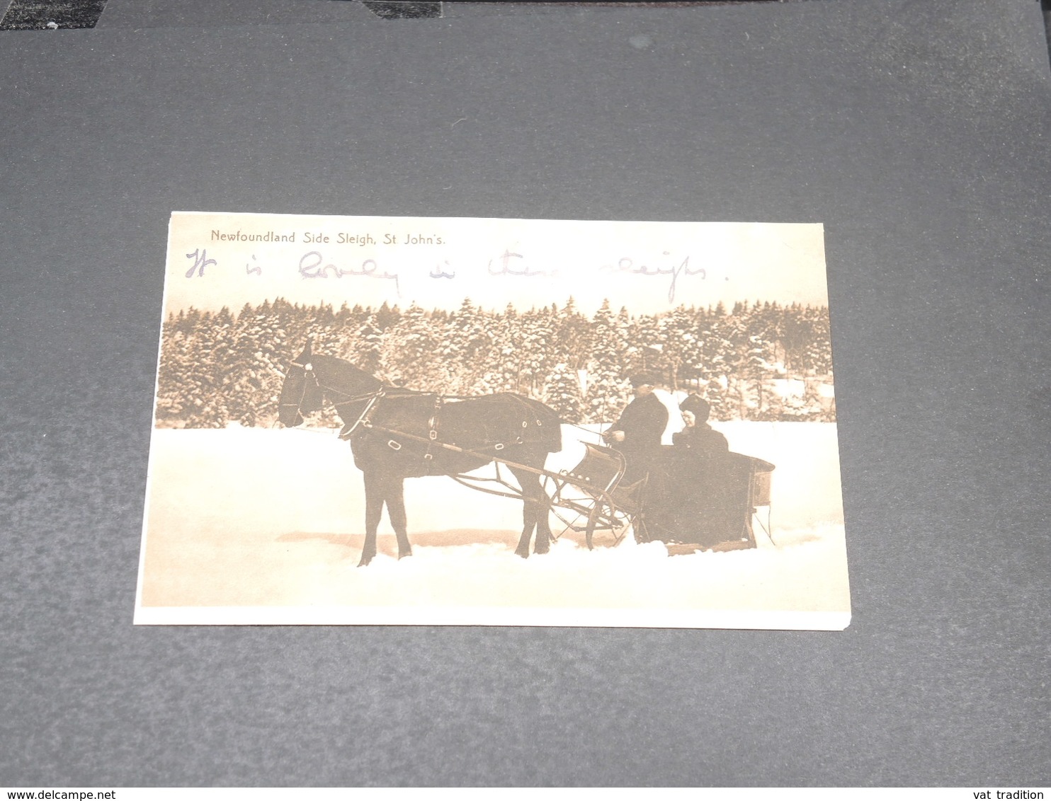 TERRE - NEUVE - Affranchissement De St John's Sur Carte Postale ( Side Sleigh ) En 1913 Pour L 'Allemagne - L 20557 - 1908-1947