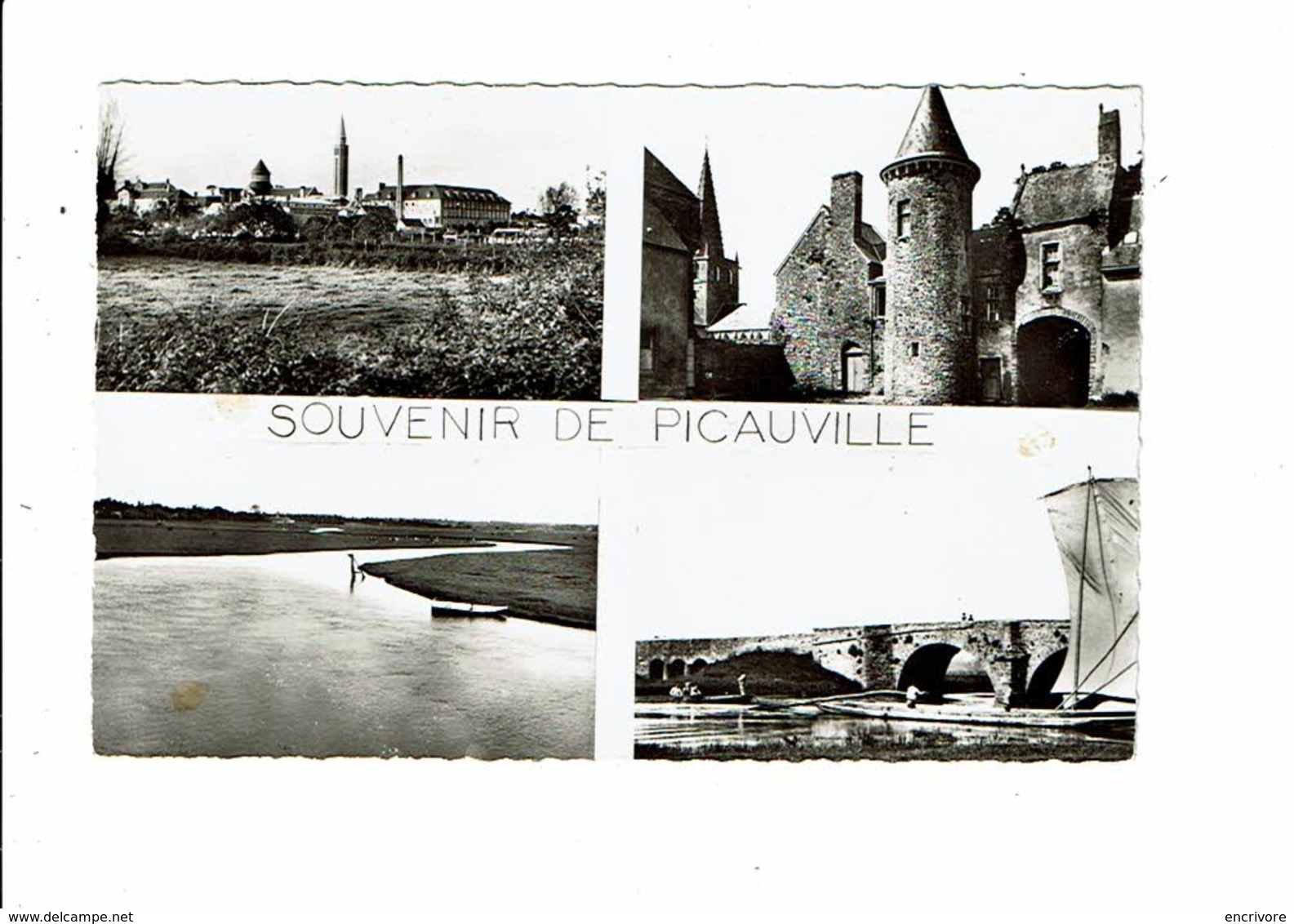 Cpsm Souvenir De PICAUVILLE Pont L'Abbé 56 117 Ed Normandes - Autres & Non Classés