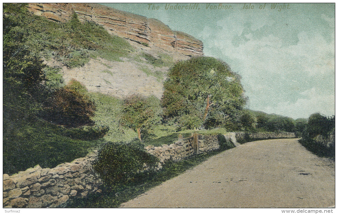 IOW - VENTNOR - THE UNDERCLIFF 1905 Iow213 - Ventnor